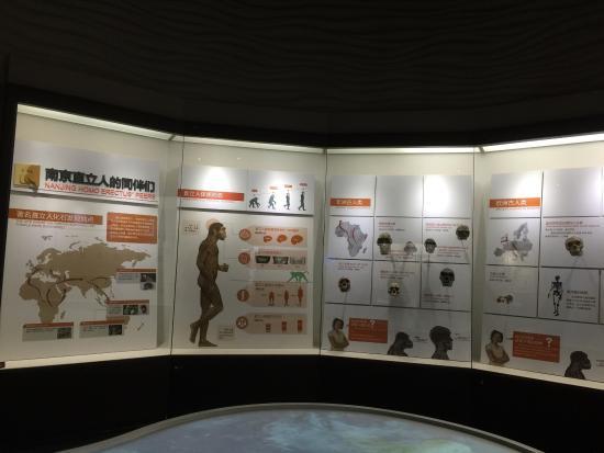 Nanjing Homo Erectus Fossil Site Museum